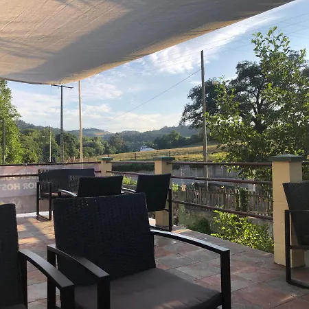 Palatina Hostel Bolgues