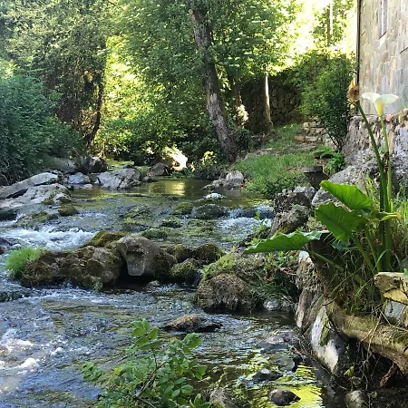 Palatina * Bolgues