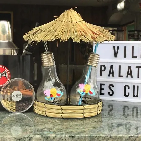 Palatina Bolgues